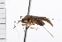  ( - CNC-HEM-1026)  @13 [ ] CreativeCommons - Attribution (2009) Unspecified Centre for Biodiversity Genomics