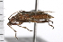 ( - CNC-HEM-0887)  @13 [ ] CreativeCommons - Attribution (2009) Unspecified Centre for Biodiversity Genomics