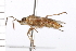  ( - CNC-HEM-0890)  @13 [ ] CreativeCommons - Attribution (2009) Unspecified Centre for Biodiversity Genomics