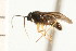  ( - CNC-HEM-1535)  @13 [ ] CreativeCommons - Attribution (2010) Unspecified Centre for Biodiversity Genomics