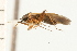  ( - CNC-HEM-1548)  @13 [ ] CreativeCommons - Attribution (2010) Unspecified Centre for Biodiversity Genomics