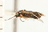  ( - CNC-HEM-1560)  @12 [ ] CreativeCommons - Attribution (2010) Unspecified Centre for Biodiversity Genomics