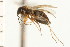  ( - CNC-HEM-1563)  @12 [ ] CreativeCommons - Attribution (2010) Unspecified Centre for Biodiversity Genomics