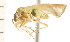  ( - CNC-HEM-1579)  @13 [ ] CreativeCommons - Attribution (2010) Unspecified Centre for Biodiversity Genomics