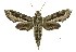  ( - USNM ENT 00196074)  @15 [ ] Unspecified (default): All Rights Reserved  Unspecified Unspecified