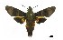  ( - USNM ENT 00676002)  @14 [ ] Unspecified (default): All Rights Reserved  Unspecified Unspecified