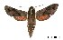  ( - USNM ENT 00678973)  @14 [ ] Unspecified (default): All Rights Reserved  Unspecified Unspecified