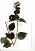  ( - RBN347)  @11 [ ] No Rights Reserved  Unspecified Unspecified