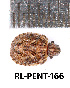  ( - RL-PENT-166)  @11 [ ] Creative common (2022) Rodolphe Rougerie Museum national d'Histoire naturelle, Paris