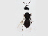  ( - BIOUG02507-H09)  @12 [ ] CreativeCommons - Attribution (2013) CBG Photography Group Centre for Biodiversity Genomics