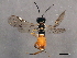  ( - BIOUG02386-G10)  @13 [ ] CreativeCommons - Attribution (2013) CBG Photography Group Centre for Biodiversity Genomics