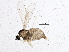  ( - BIOUG02669-A08)  @14 [ ] CreativeCommons - Attribution (2013) CBG Photography Group Centre for Biodiversity Genomics