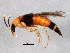  ( - BIOUG02292-H05)  @13 [ ] CreativeCommons - Attribution (2012) CBG Photography Group Centre for Biodiversity Genomics