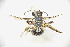  ( - CP16047)  @11 [ ] by-nc (2019) Unspecified China Agricultural University