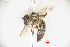  ( - CP16047)  @11 [ ] by-nc (2019) Unspecified China Agricultural University