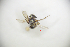  ( - CP16058)  @11 [ ] by-nc (2019) Unspecified China Agricultural University