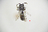 ( - CP16064)  @11 [ ] by-nc (2019) Unspecified China Agricultural University