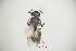  ( - CP16067)  @11 [ ] by-nc (2019) Unspecified China Agricultural University