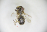  ( - CP16084)  @11 [ ] by-nc (2019) Unspecified China Agricultural University