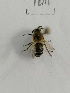  ( - X_BJCP04)  @11 [ ] bync (2019) Unspecified Beijing Academy of Agricultural and Forestry Sciences