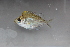  ( - AI-1811.1)  @11 [ ] CreativeCommons - Attribution Share-Alike (2018) Unspecified University of Colorado, Boulder