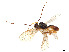  ( - BIOUG63156-C10)  @11 [ ] CreativeCommons - Attribution Share - Alike (2023) CBG Photography Group Centre for Biodiversity Genomics