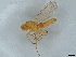 ( - BIOUG61393-A11)  @11 [ ] CreativeCommons - Attribution (2022) CBG Photography Group Centre for Biodiversity Genomics