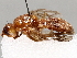  ( - BIOUG70332-C07)  @11 [ ] CreativeCommons - Attribution (2021) CBG Photography Group Centre for Biodiversity Genomics