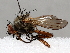  ( - BIOUG70332-D10)  @11 [ ] CreativeCommons - Attribution (2021) CBG Photography Group Centre for Biodiversity Genomics