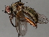  ( - BIOUG70332-F12)  @11 [ ] CreativeCommons - Attribution (2021) CBG Photography Group Centre for Biodiversity Genomics