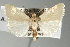  ( - ww03083)  @14 [ ] CreativeCommons - Attribution Non-Commercial (2015) Andrew Mitchell Australian Museum