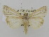  ( - ww03094)  @13 [ ] CreativeCommons - Attribution Non-Commercial (2015) Andrew Mitchell Australian Museum