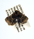  ( - USNM ENT 00148005.1)  @12 [ ] No Rights Reserved  Unspecified Unspecified