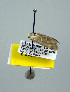  ( - USNM ENT 00148014.1)  @12 [ ] No Rights Reserved  Unspecified Unspecified