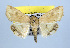  ( - USNM ENT 00148046.1)  @11 [ ] No Rights Reserved  Unspecified Unspecified