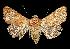  ( - USNM ENT 00255728)  @13 [ ] No Rights Reserved  Unspecified Unspecified