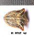  ( - RL-PENT-194)  @11 [ ] CC-by (2025) Roland Lupoli Research collection of Roland Lupoli