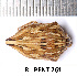  ( - RL-PENT-261)  @11 [ ] CC-by (2025) Roland Lupoli Research collection of Roland Lupoli