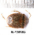  ( - RL-PENT-265)  @11 [ ] CC-by (2025) Roland Lupoli Research collection of Roland Lupoli