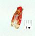  (Kahaono - gvc09999-1L)  @11 [ ] Copyright (2004) Unspecified Unspecified