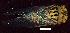  ( - gvc11180-1L)  @12 [ ] Copyright (2004) Unspecified Unspecified
