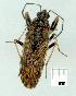  ( - gvc11191-1L)  @14 [ ] Copyright (2004) Unspecified Unspecified