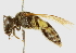  ( - WG-MISC-036)  @13 [ ] CreativeCommons - Attribution (2010) CBG Photography Group Centre for Biodiversity Genomics