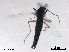 ( - XL2075)  @11 [ ] CreativeCommons - Attribution Non-Commercial Share-Alike (2019) Xiaolong Lin College of Life Sciences, Nankai University