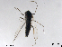  ( - XL2076)  @11 [ ] CreativeCommons - Attribution Non-Commercial Share-Alike (2019) Xiaolong Lin College of Life Sciences, Nankai University