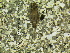  ( - HIEPT-1039)  @11 [ ] Unspecified (default): All Rights Reserved  Unspecified Unspecified