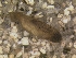  ( - HIEPT-1047)  @11 [ ] Unspecified (default): All Rights Reserved  Unspecified Unspecified