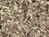  ( - HIEPT-1053)  @12 [ ] Unspecified (default): All Rights Reserved  Unspecified Unspecified