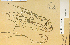  ( - 23846HIM)  @11 [ ] CreativeCommons - Attribution Non-Commercial Share-Alike (2012) University of Guelph, Canada OAC-BIO Herbarium