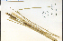  ( - 36292HIM)  @11 [ ] CreativeCommons - Attribution Non-Commercial Share-Alike (2012) University of Guelph, Canada OAC-BIO Herbarium